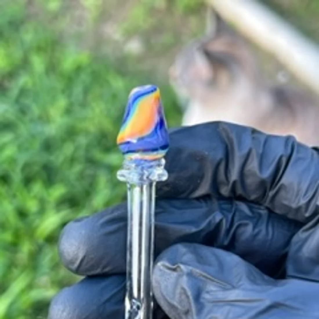 Piteira Varinha - Rainbow